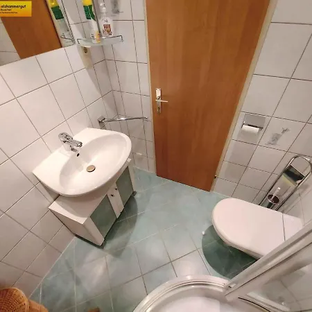 In - Steiermark 41630 Apartment Bad Mitterndorf